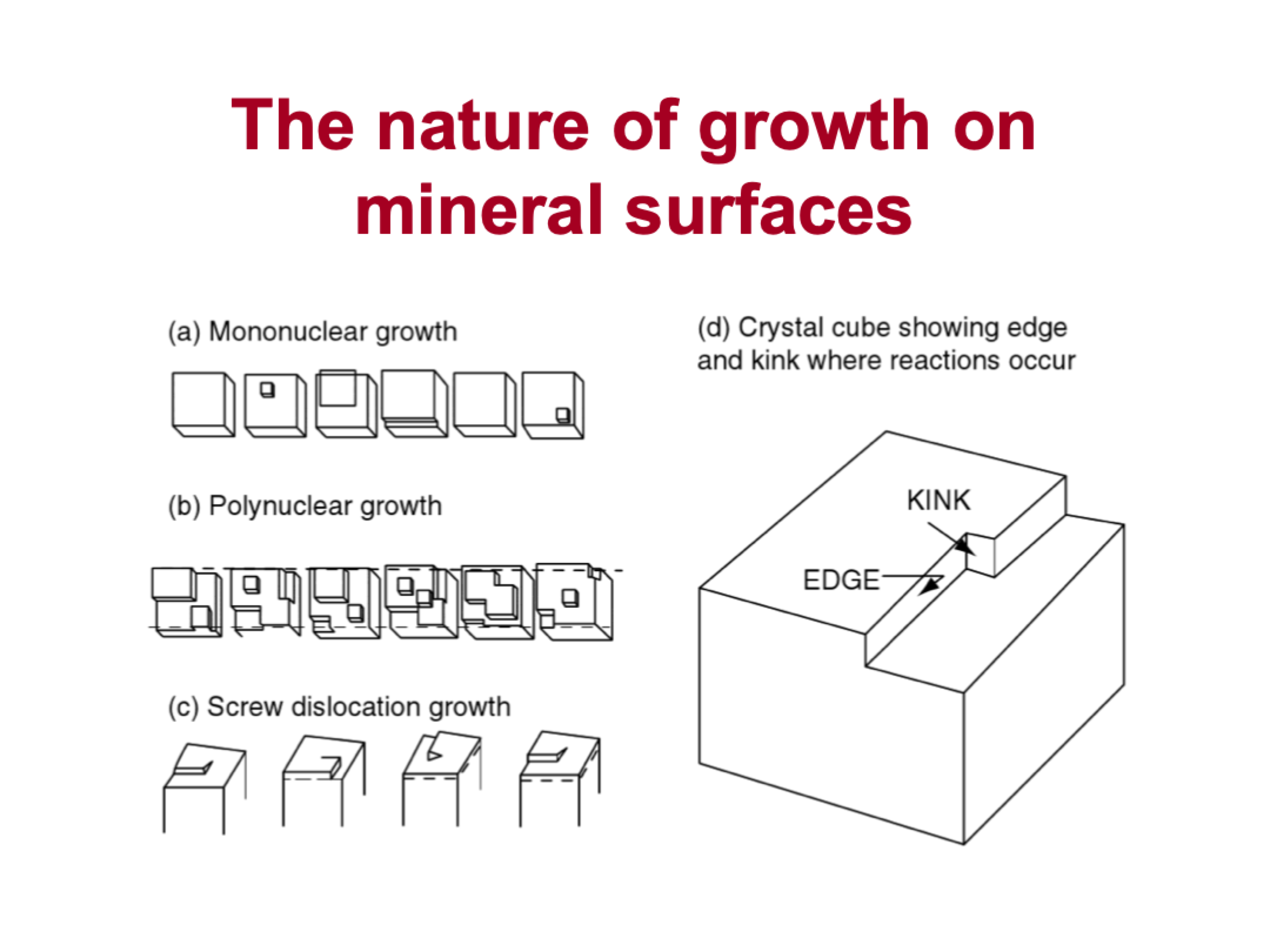 <p>mononuclear</p><p>polynuclear</p><p>screw dislocation: some part of mineral is raised above the rest, it grows in a spiral</p><p>crystal cube showing edge and kink</p>