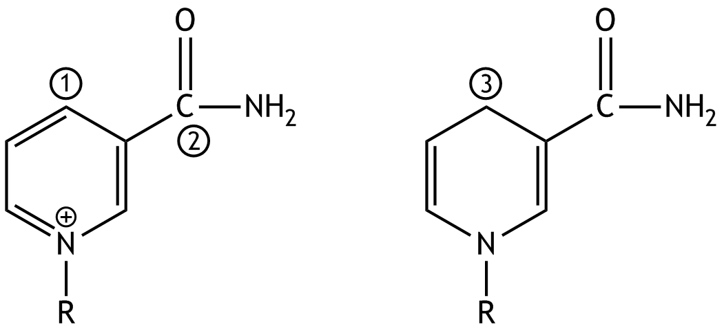 <p>5. Which statement about the oxidation numbers (ON) of the carbon atoms ① to ③ is correct?</p><p>A. ① has the oxidation number +1.</p><p>B. ② has the oxidation number –3.</p><p>C. ③ has the oxidation number 0.</p><p>D. The oxidation number of ① is greater than that of ③.</p><p>E. The oxidation number of ③ is greater than that of ②.</p>