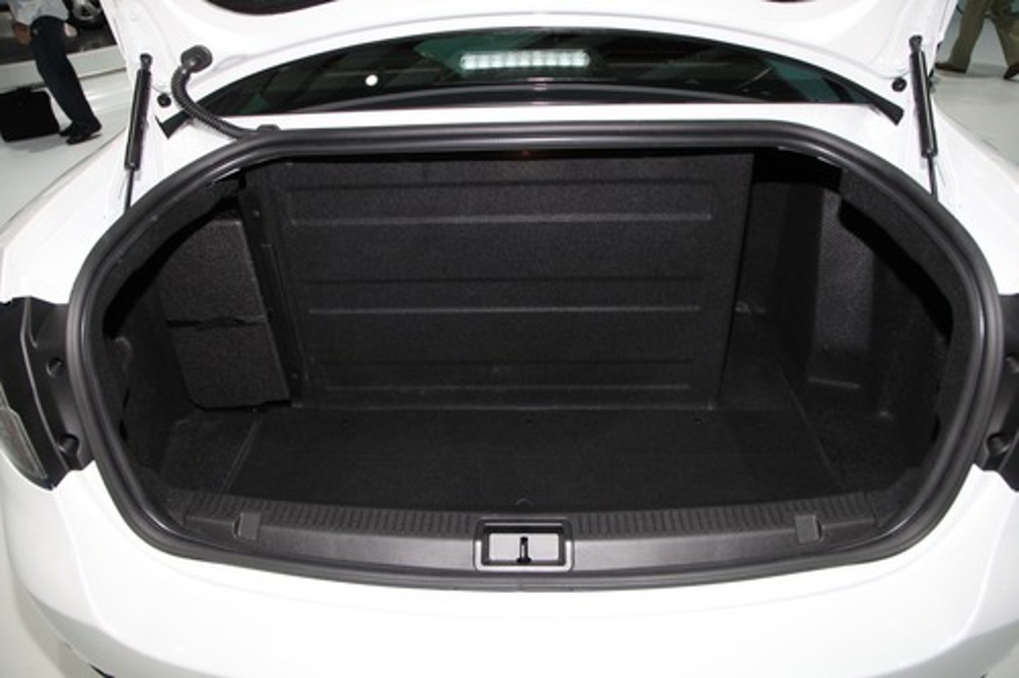 <p>trunk</p>