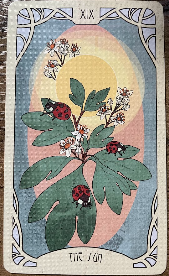 <p>The Sun</p>