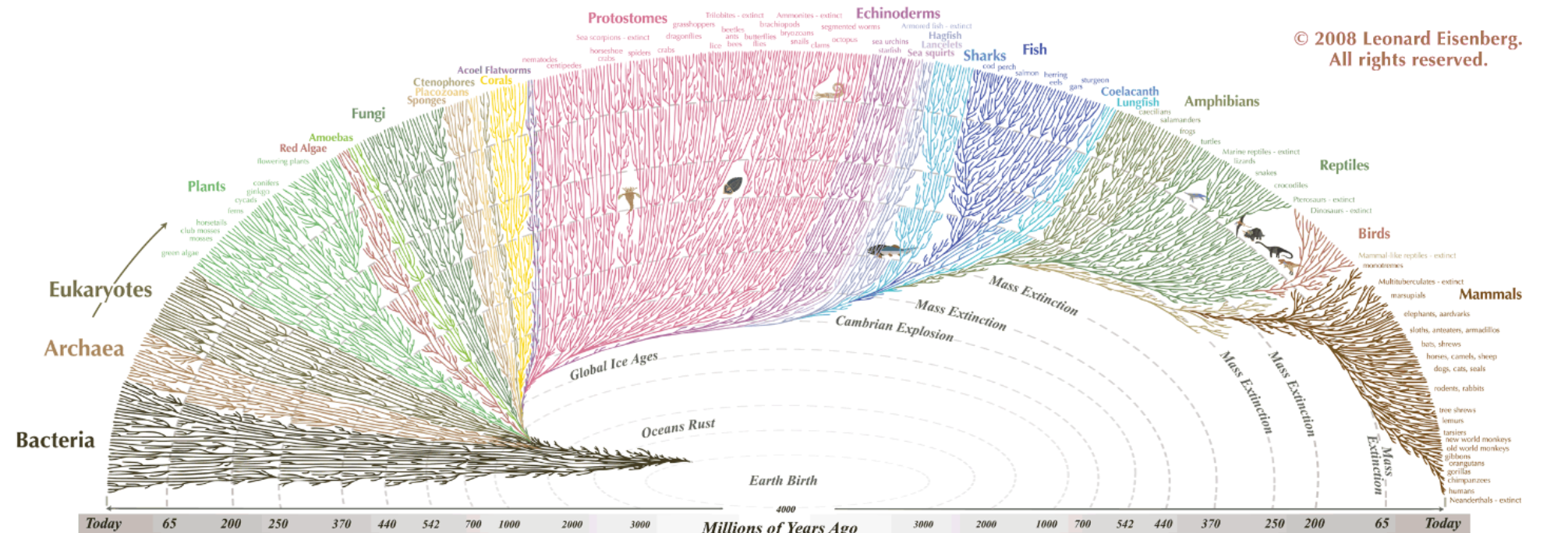 <p>No need to memorize</p>