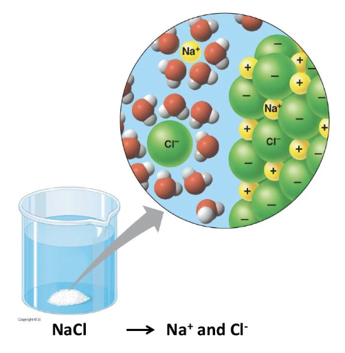 <p>water molecules surrounding dissolved ions or polar molecules</p>