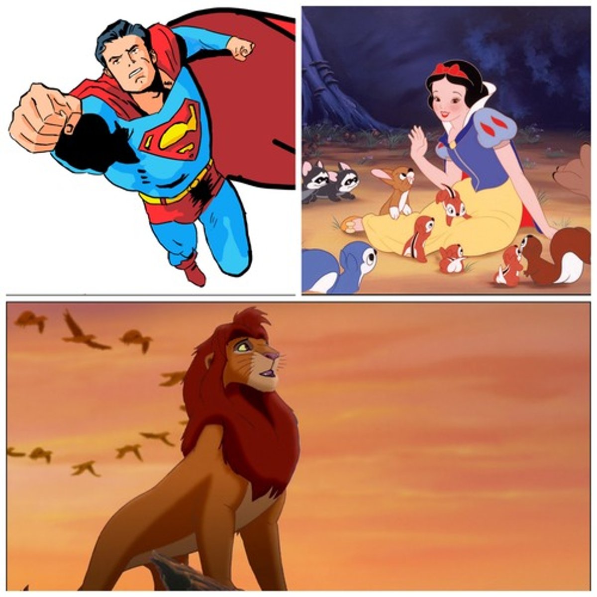 <p>the main character(s) in a literary work; the ones the reader usually wants to succeed</p>