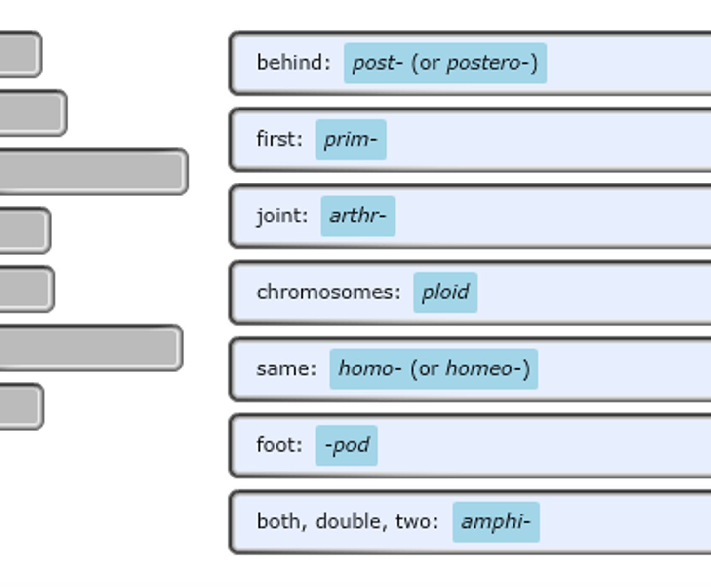 <p>give the basic meanings to medical terms. they can be used alone or can be joined with other terms.</p>