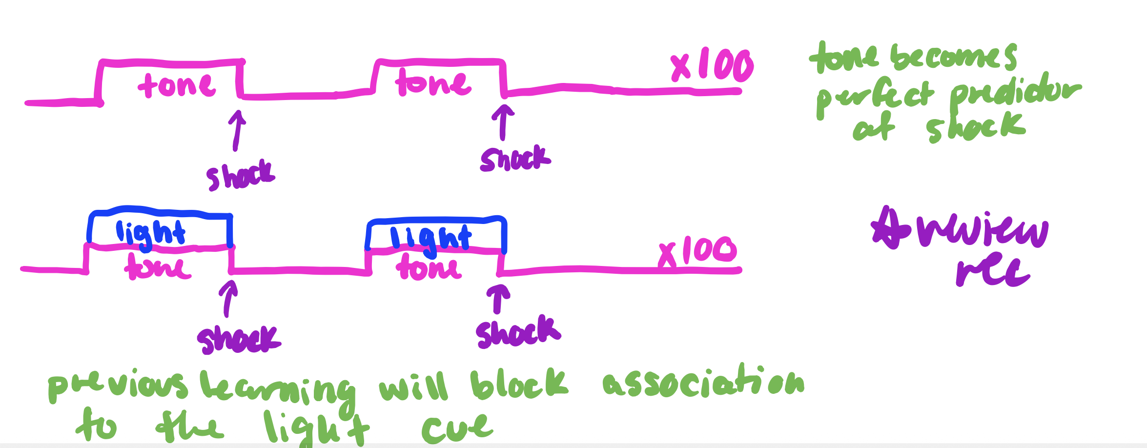 <p>-	Use one “weak” and one “strong” CS</p><p>-	CS1 + CS2 -> US</p><p>• Reaction to weaker stimulus is blotted out by stronger CS</p><p></p>