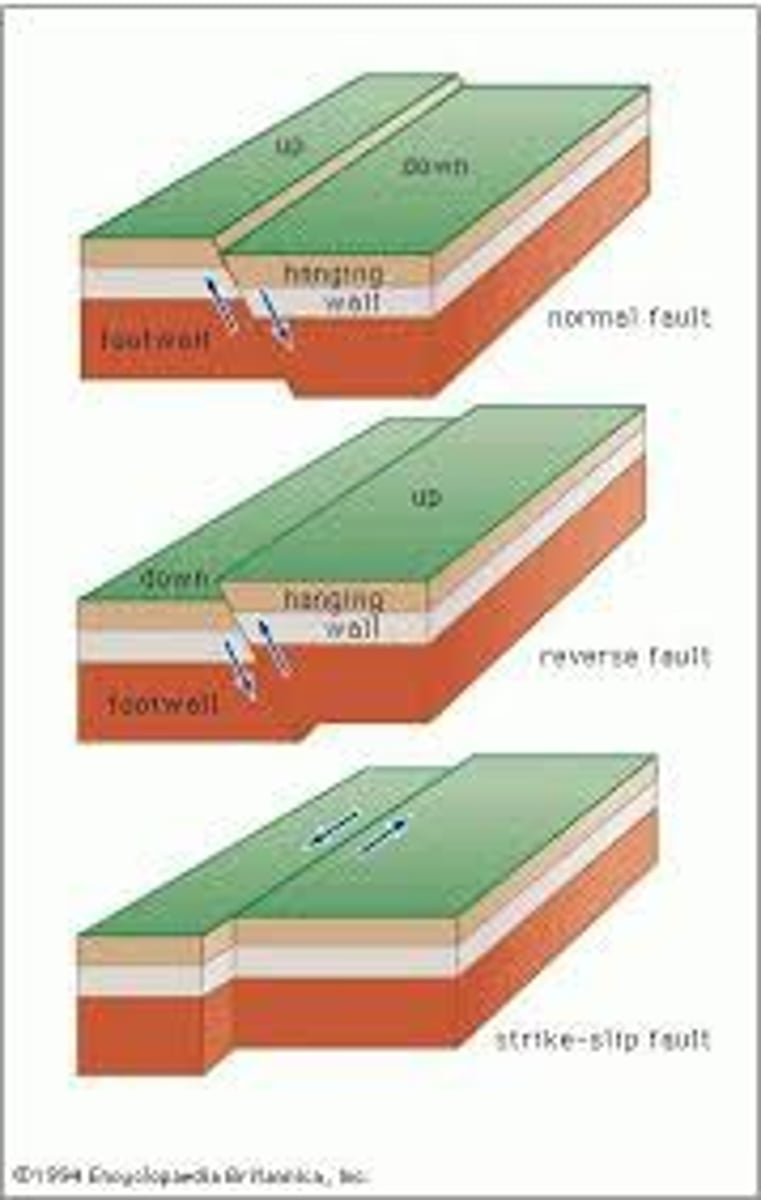 <p>a break in a body of rock along which one block slides relative to another</p>