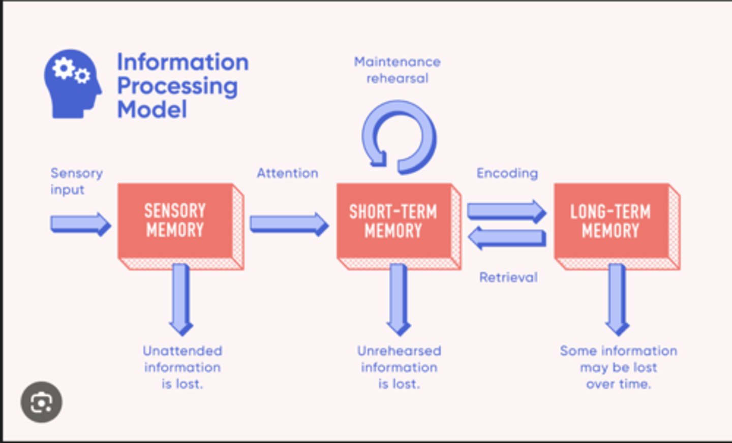 <p>that describes memory in terms of information flowing through a system</p>
