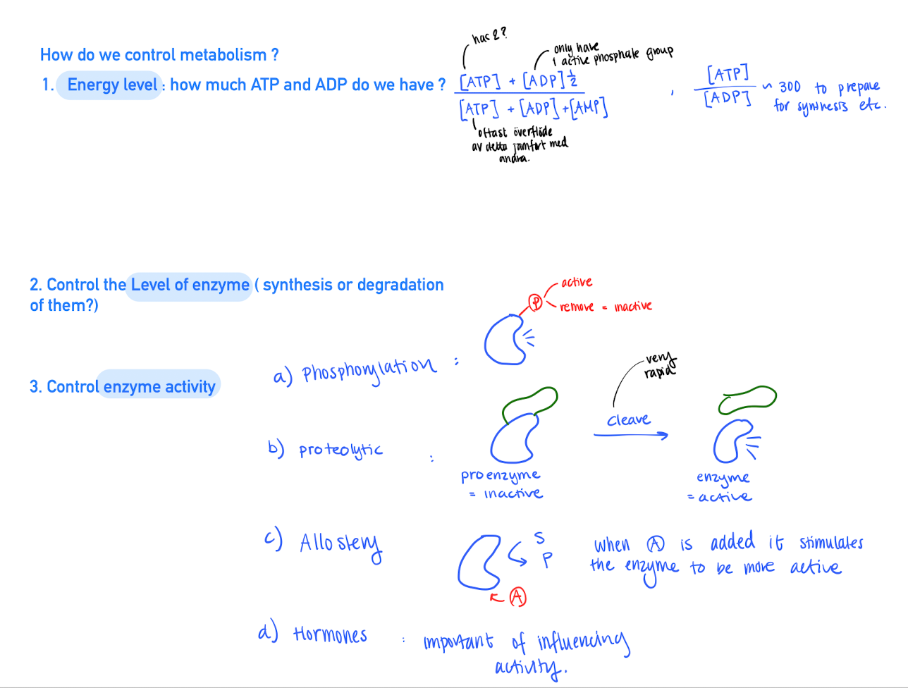 <p>Ways to control metabolism </p>