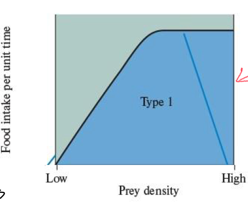<p>*****Why is the Type 1 Curve linear?</p>