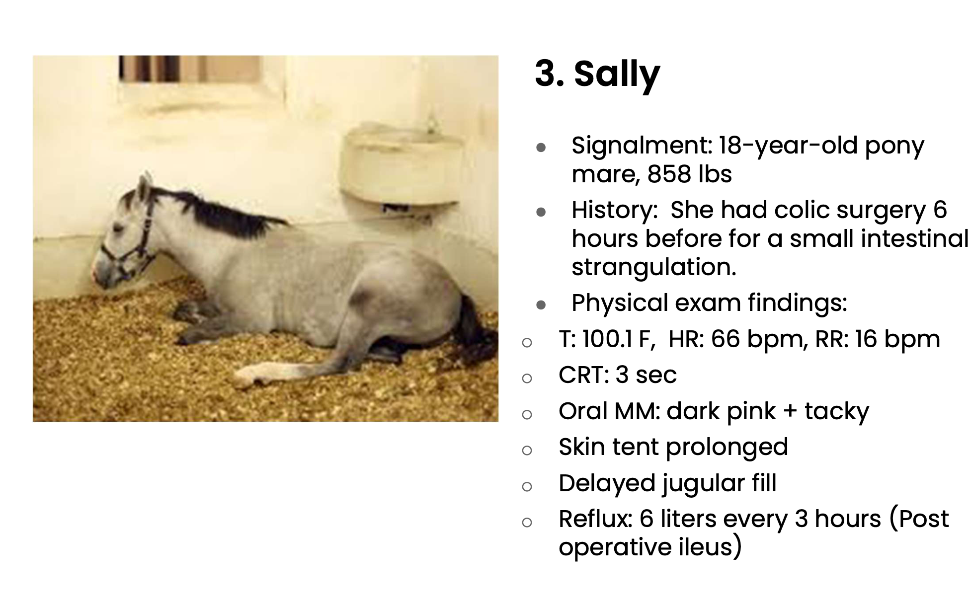 <p>Is Sally dehydrated, hypovolemic, or both?</p>