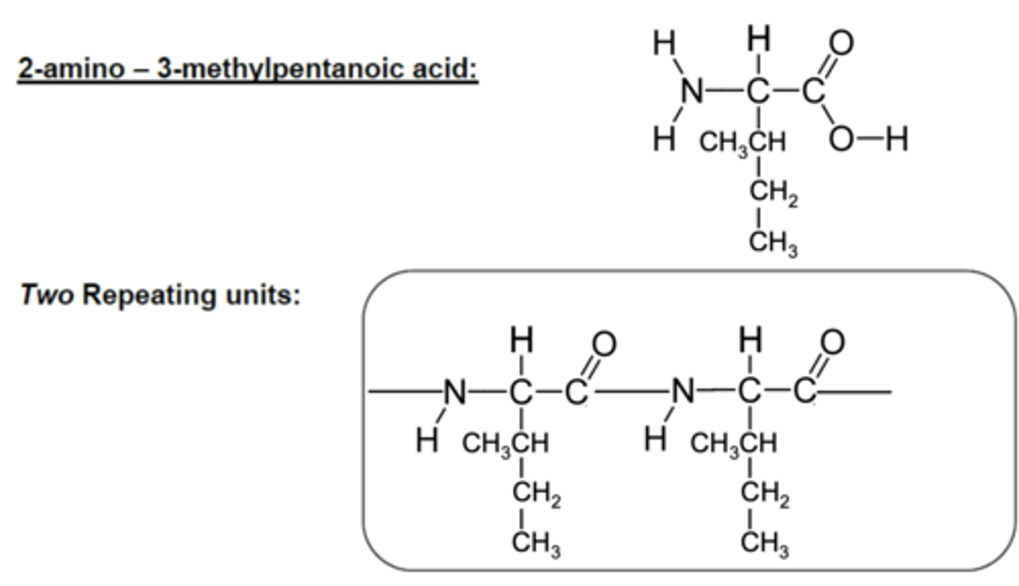 <p>ONLY ONE MONOMER</p>