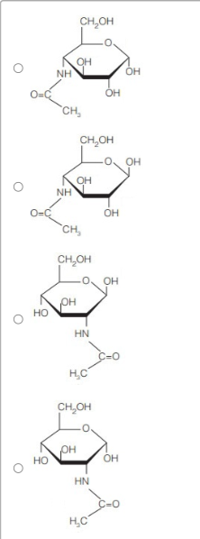 Choose Haworth projections for the following:

α-D-GlcNAc