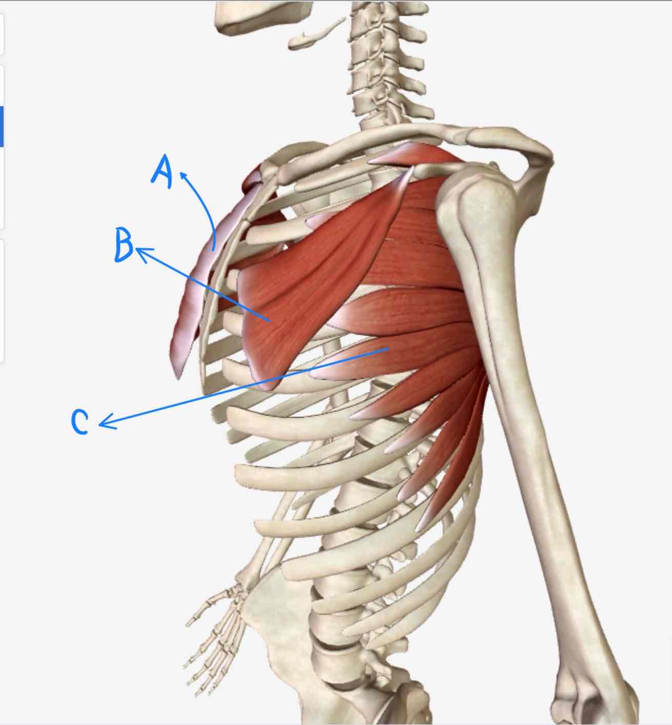 <p>B=</p>