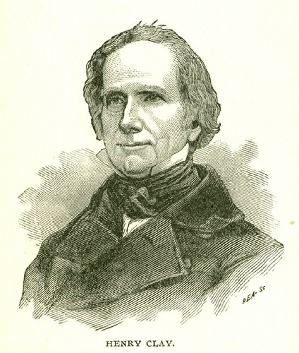 <p>An economic program promoted by Henry Clay; it included a strong banking system that could provide easy credit, protective tariff to allow eastern manufacturing to grow, and a network of federally financed canals and highways to knit the country together economically and politically.</p>