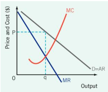 <p>Monopoly, the Industry, &amp; Market Power</p><p>The monopoly completely controls</p>