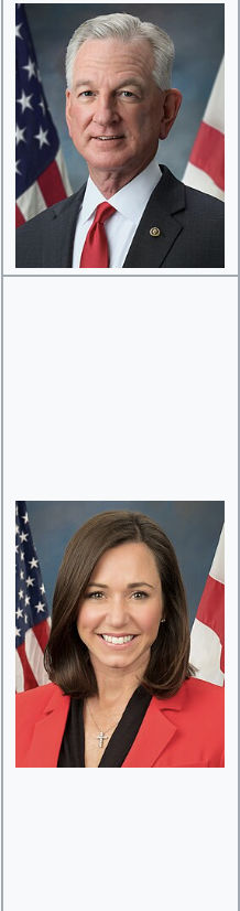 <p></p>