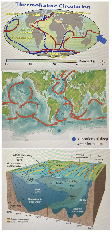 …C-no bottom water formation in the pacific 
