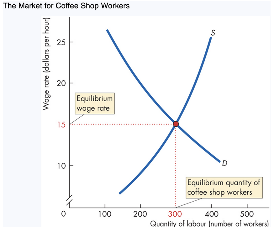 <p><span style="background-color: transparent; font-family: "Times New Roman", serif;"><strong><span>3. Labour Market Equilibrium</span></strong></span></p><p><span style="background-color: transparent; font-family: "Times New Roman", serif;"><span>When supply (S) meets demand (D):</span></span></p><ul><li><p><span style="background-color: transparent; font-family: "Times New Roman", serif;"><strong><span>Equilibrium wage:</span></strong><span> where quantity supplied = quantity demanded</span></span></p></li><li><p><span style="background-color: transparent; font-family: "Times New Roman", serif;"><span>Coffee shop workers: Wage: </span><strong><span>$15/hour</span></strong></span></p><ul><li><p><span style="background-color: transparent; font-family: "Times New Roman", serif;"><span>Employment: </span><strong><span>300 workers</span></strong></span></p></li></ul></li></ul><p><span style="background-color: transparent; font-family: "Times New Roman", serif;"><span>How market fixes disequilibrium</span></span></p><ul><li><p><span style="background-color: transparent; font-family: "Times New Roman", serif;"><span>Wage > $15 → </span><strong><span>surplus</span></strong><span> of workers → wage ____</span></span></p></li><li><p><span style="background-color: transparent; font-family: "Times New Roman", serif;"><span>Wage < $15 → </span><strong><span>shortage</span></strong><span> → wage rises</span></span></p></li><li><p><span style="background-color: transparent; font-family: "Times New Roman", serif;"><span>Only at $15 are there no forces pushing wage up/down</span></span></p></li></ul><p></p>