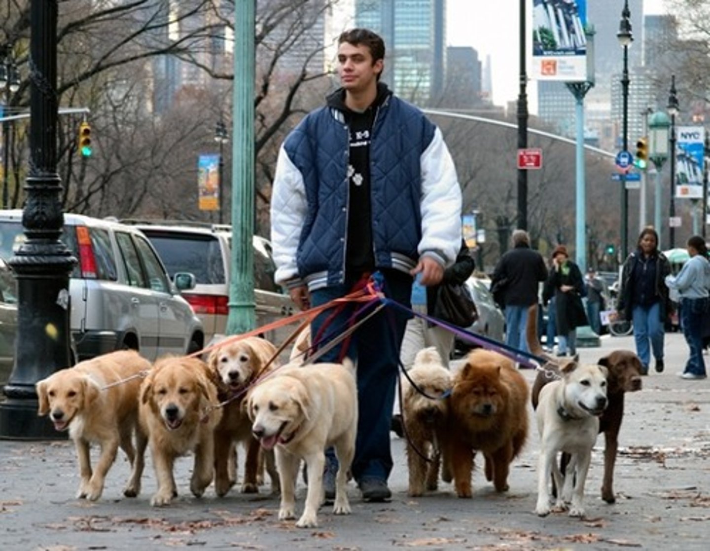 <p>dog walker</p>