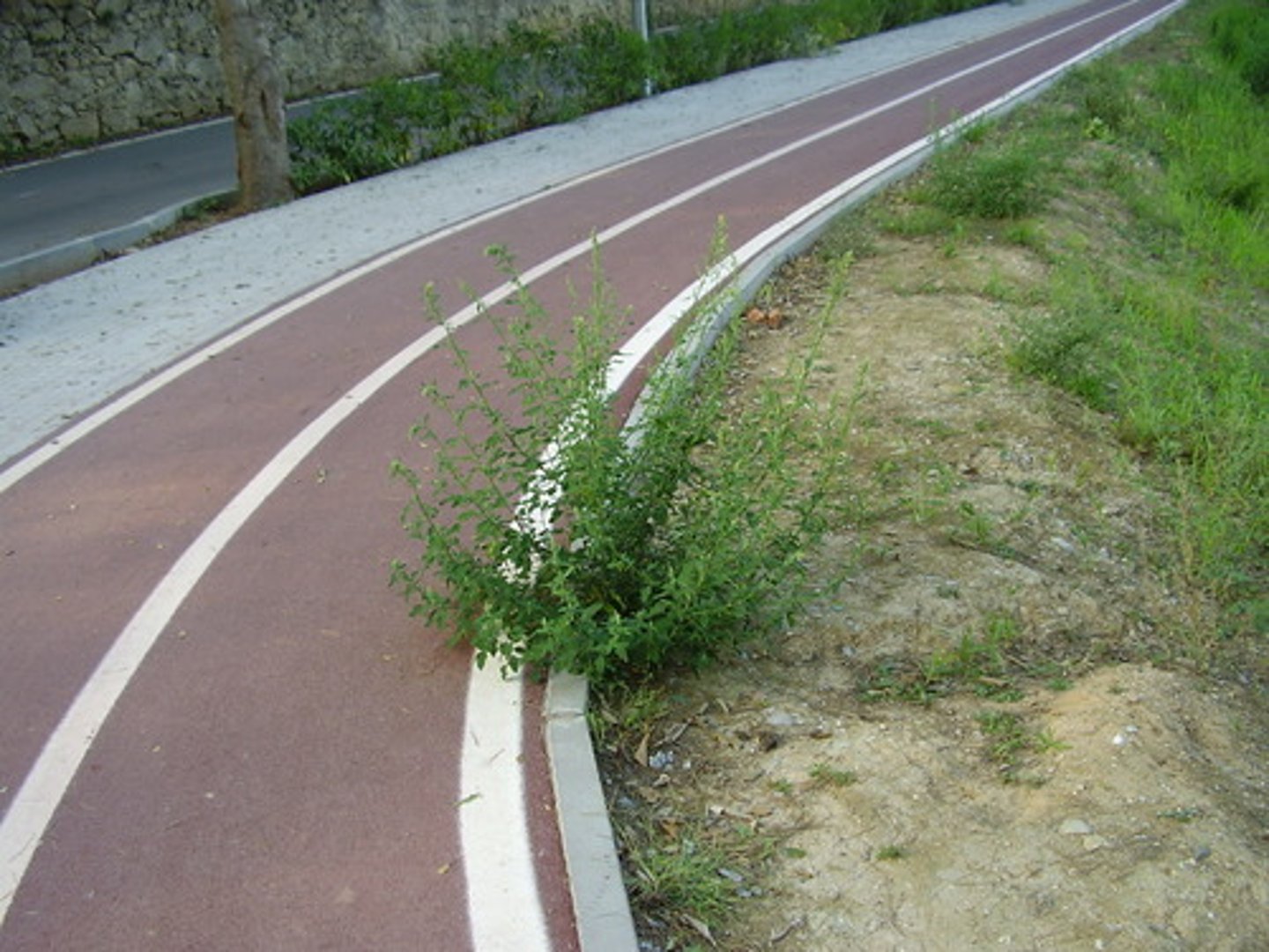 <p>lane (highway)</p>