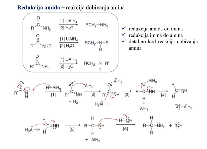 <ul><li><p>reakcija dobivanja amina </p></li></ul><p></p>