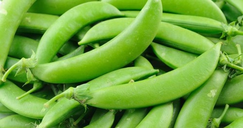 peas with a curve at each end. They come to a short point at each end and are green in color.