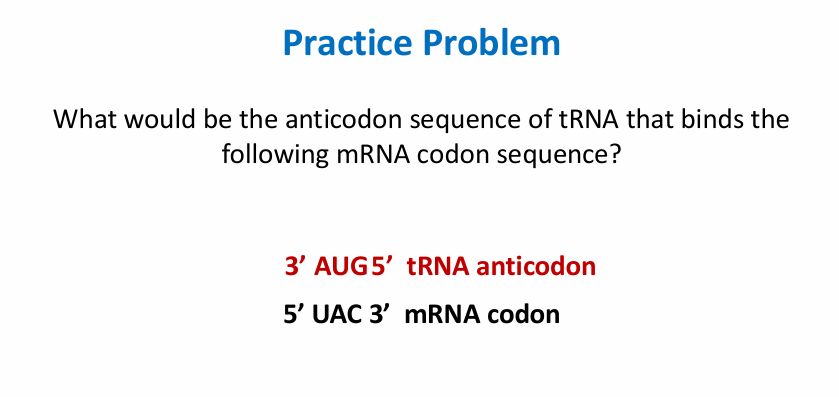 <p>• It is redundant • All amino acids except two are encoded by more than one codon (synonymous) • It is unambiguous • One codon never codes for more than one amino acid • Non-overlapping—Codons are read one at a time • It is nearly universal • All codons specify the same amino acids in all organisms • With a few minor exceptions • It is conservative • The first 2 bases are usually identical when multiple codons specify the same amino</p>