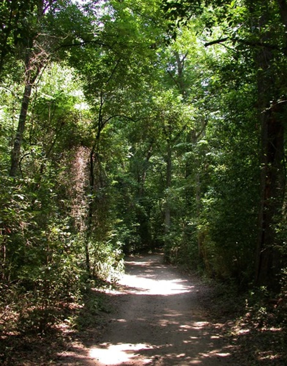 <p>path</p>