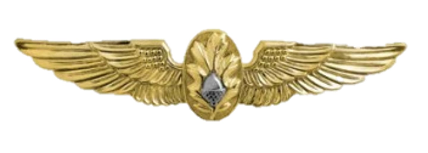 <p>medical representative for aviation command, promotes aviation safety to decrease potential aircraft accidents; responsible to CO</p>