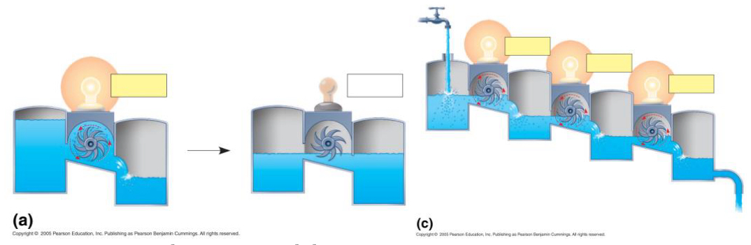 <p><span style="font-family: Arial-BoldMT; font-size: 16px;"><strong>Which diagram represents the metabolism in a living system? Justify your answer.</strong></span></p>