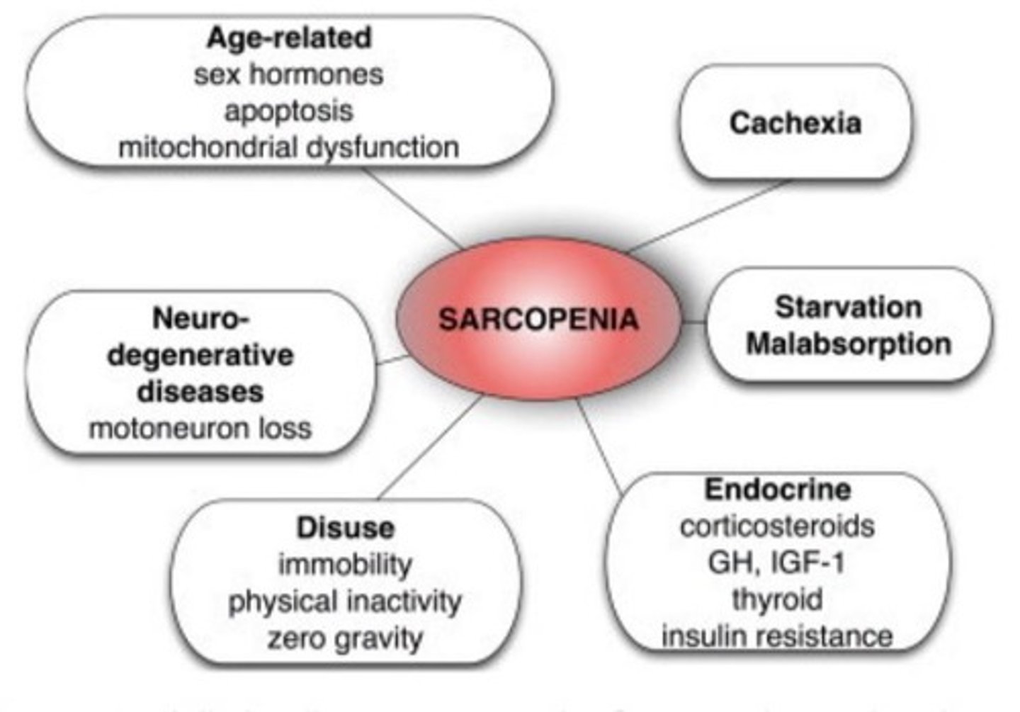 <p>A condition characterized by loss of lean mass even when caloric intake is sufficient.</p>