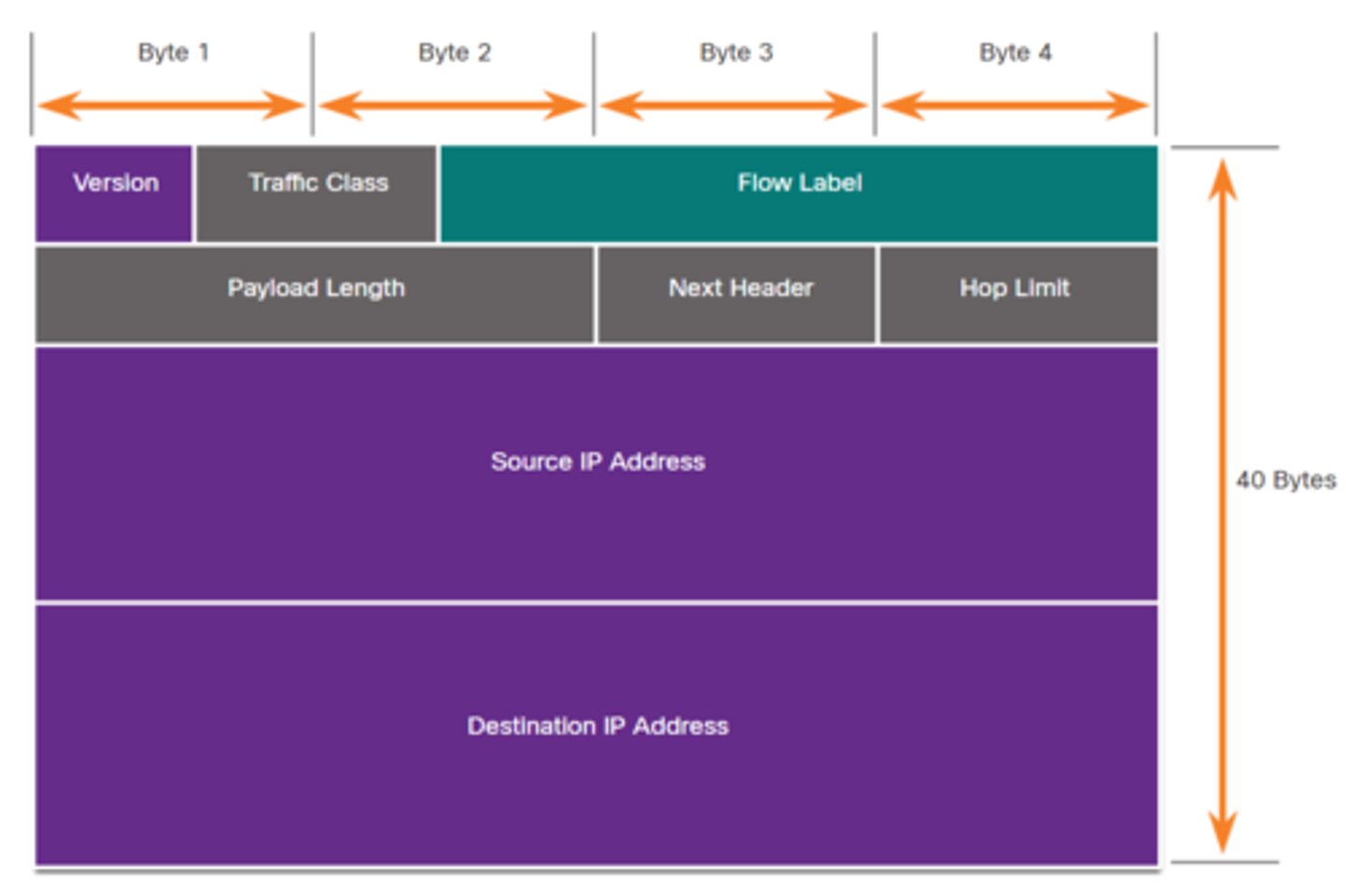 Module 3 Protocols and Models Flashcards Knowt