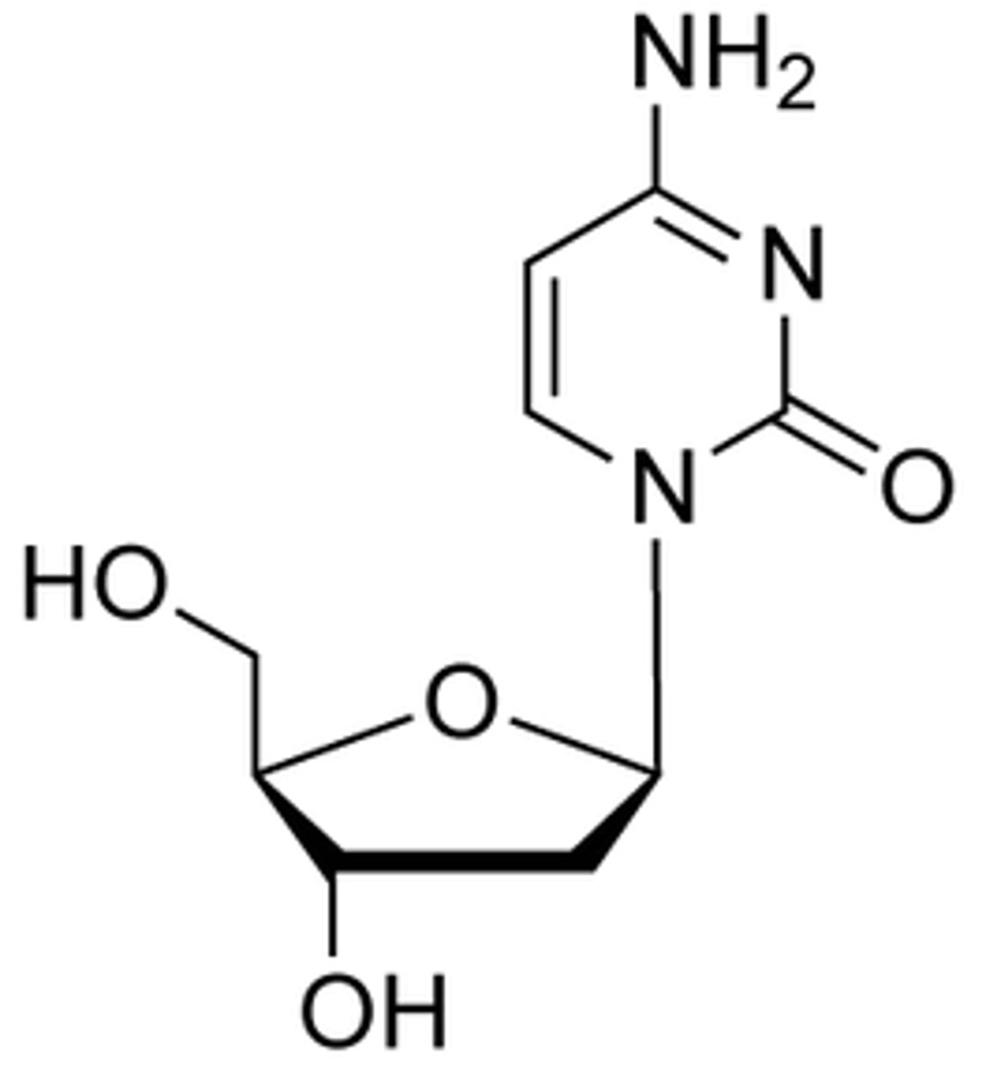<p>nucleoside</p>