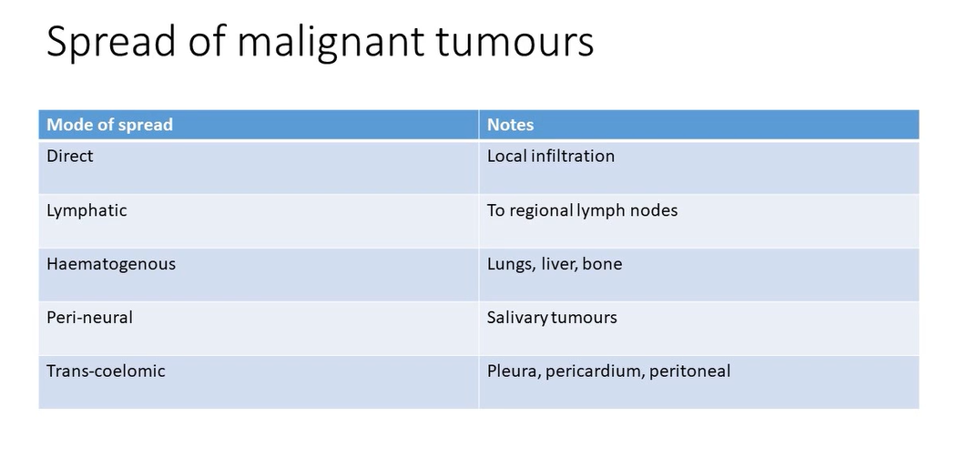 <ul><li><p>infiltrate local tissues</p></li><li><p>may gain access to lymphatics </p></li><li><p>may gain access to venous circulation</p></li><li><p>may head straight to lungs liver bone etc </p></li><li><p>may spread along nerves  </p></li></ul><p></p>