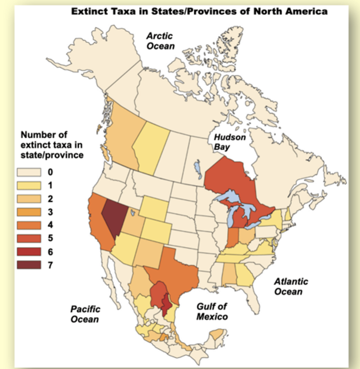 <p>LOOK AT PICTURE</p>