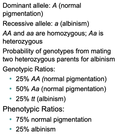<p><span style="color: yellow"><strong>Strict dominance: </strong></span></p><p>→ One allele completely MASKS the effect of the other </p><p>Dominant allele: Expressed </p><p>Recessive allele: Hidden unless 2 copies </p><p></p><p></p><p><span style="color: yellow"><strong>Co-dominance: </strong></span></p><p>→ BOTH alleles are fully expressed in the heterozygote (neither is dominant or recessive) </p><p>Blood type AB: A + B Alleles are both expressed (AB blood type) </p><p>Cattle color: Red (R) + White (W) </p><p></p><p><span style="color: yellow"><strong>Incomplete Dominance:</strong></span></p><p>→ The heterozygous phenotype is a blend of the 2 alleles (Not fully dominant or recessive) </p><p></p>