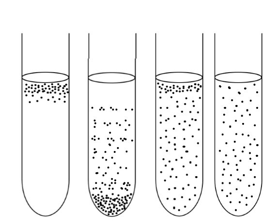 <p>which one will die if exposed to O2</p>