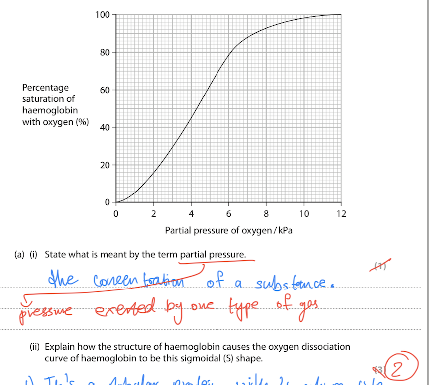 <p>A) ii) </p>