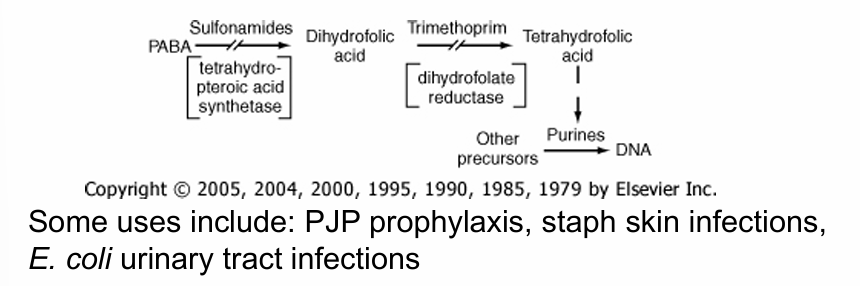 <p>-examples: trimethoprim, sulfonamides</p><p>-often given in combination (example: trimethoprim-sulfamethoxazole)</p>