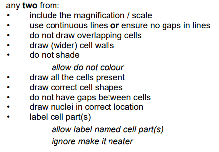 <ol><li><p>Use <strong><mark data-color="blue" style="background-color: blue; color: inherit;">continuous</mark></strong> lines</p></li><li><p>Label cell parts</p></li></ol><p></p>
