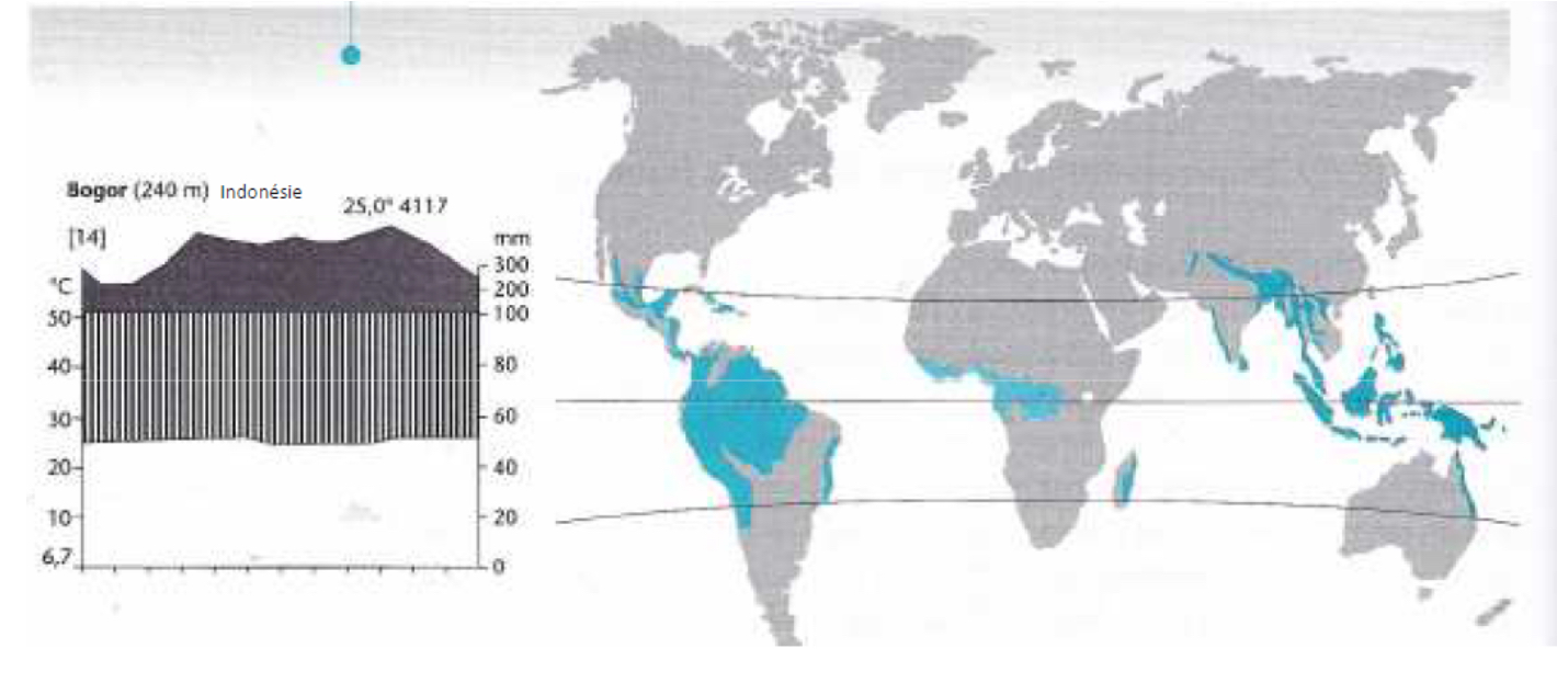 <p>Forêts pluvieuses tropicales</p>