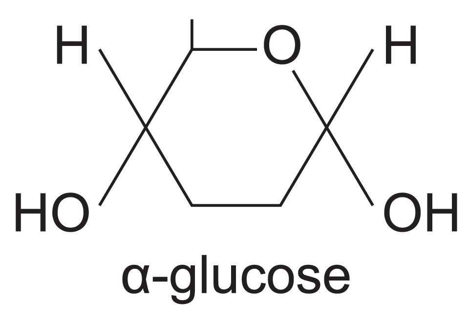 <p>H on top. Hydroxyl below the ring.</p>