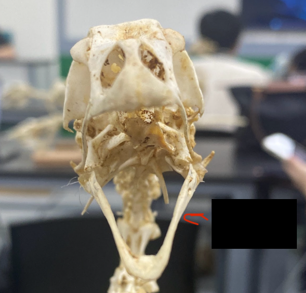 <p>What part is this </p>