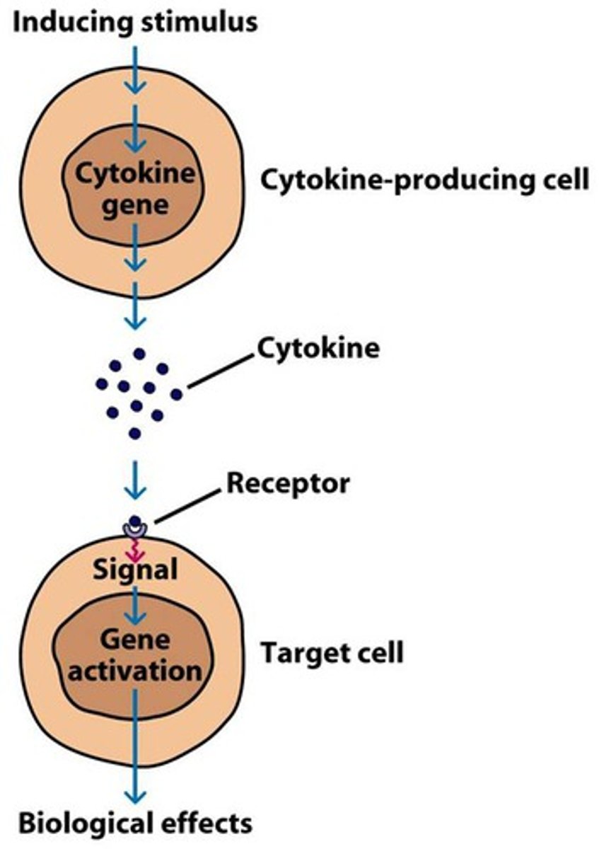 <p>Cell signaling molecules are released primarily by helper T cells and macrophages. Certain cytokines activate cytotoxic T-cells</p>