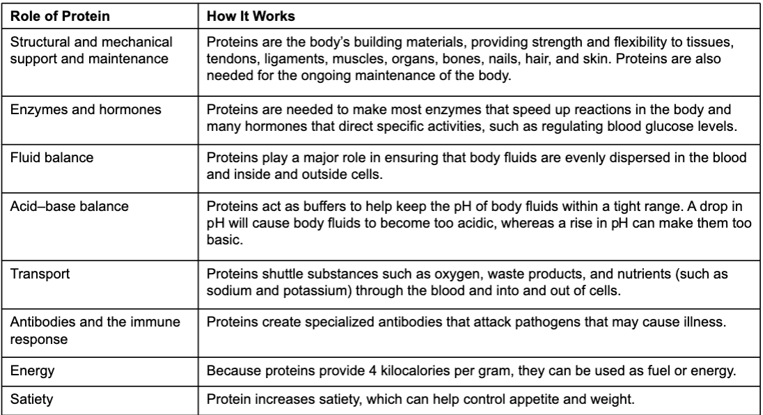 roles of proteins
