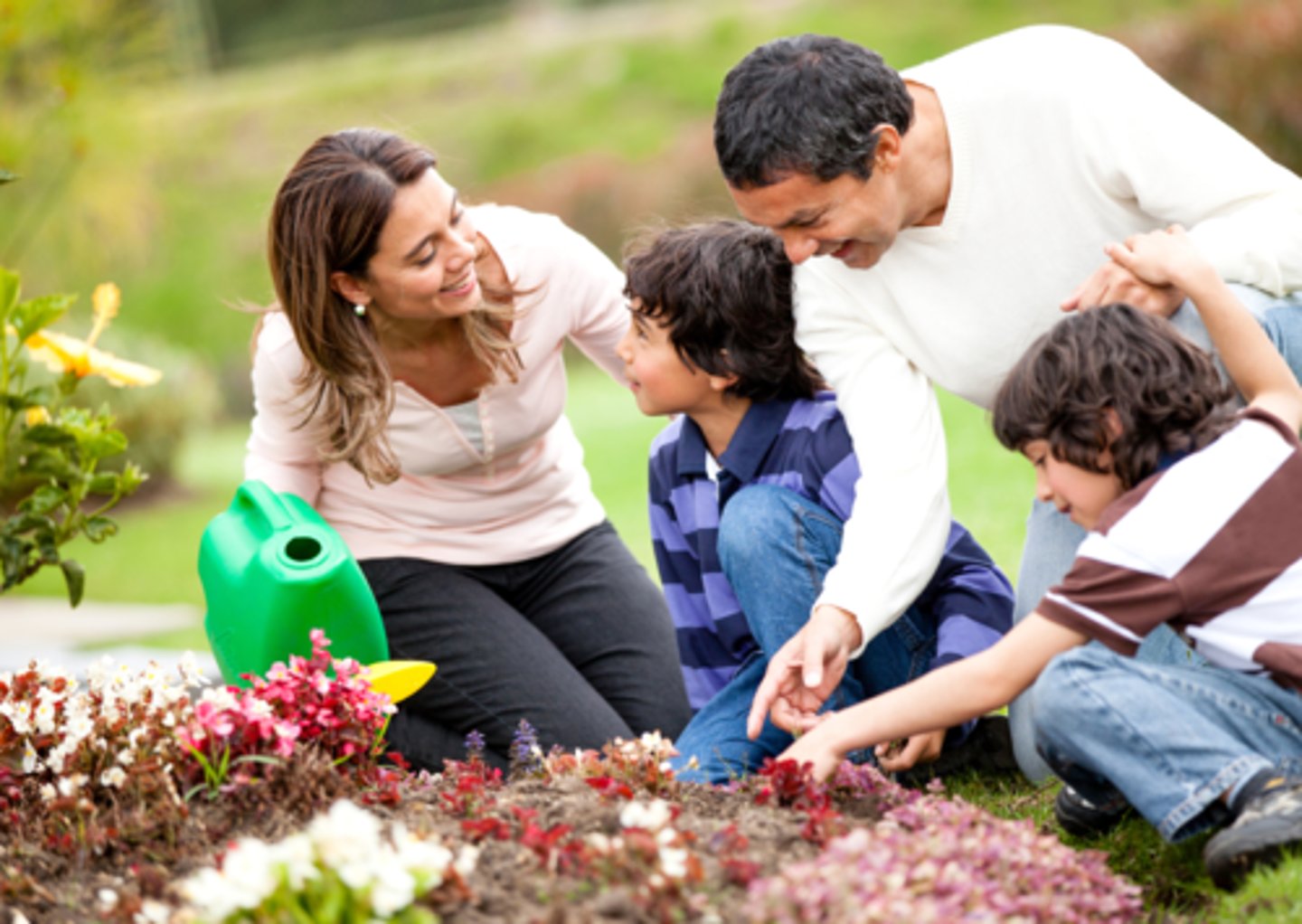 <p>put flower seeds or plants in the ground to grow.</p><p>Mum loves gardening, so we ___________ in the garden together on Mother's Day.</p>
