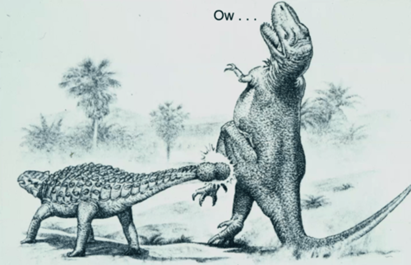 <p>Wacky them with their tails such as the stegosaurus and ankylosaurus or use their thumb spikes like with the iguanodon. Sometimes the actual size of the dinosaur was enough to fend off prey such as with the sauropods</p>