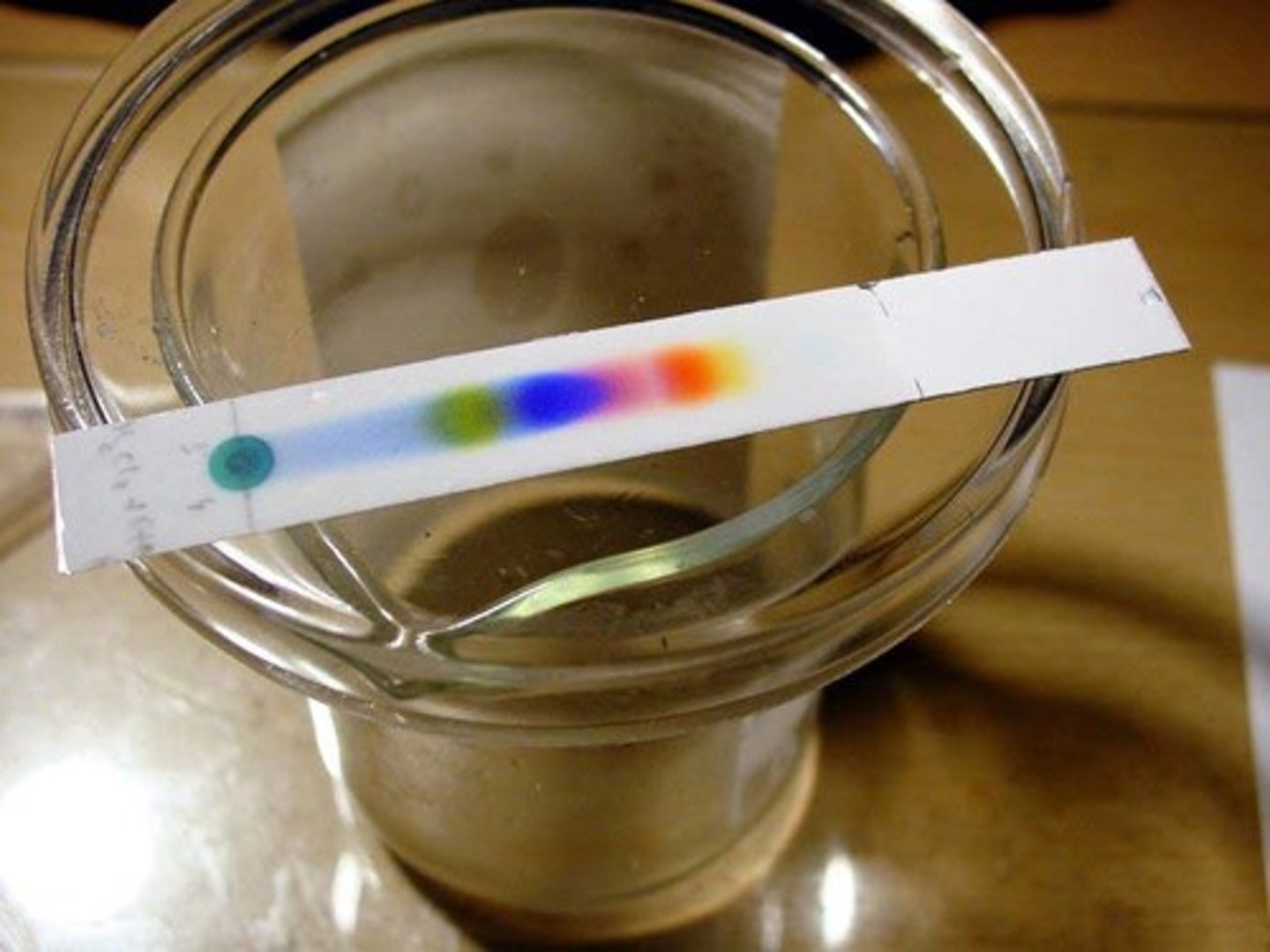 <p>A type of chromatography that uses a thin layer of powder on a plate as the stationary phase</p>