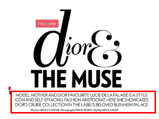 <p>A longish caption that acts as the bridge between the Headline and the Body Copy (which the body copy is just the blocks of text yes)</p>