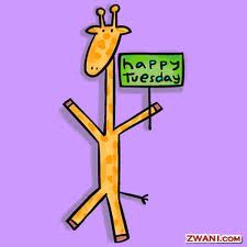 <p>Tuesday</p>